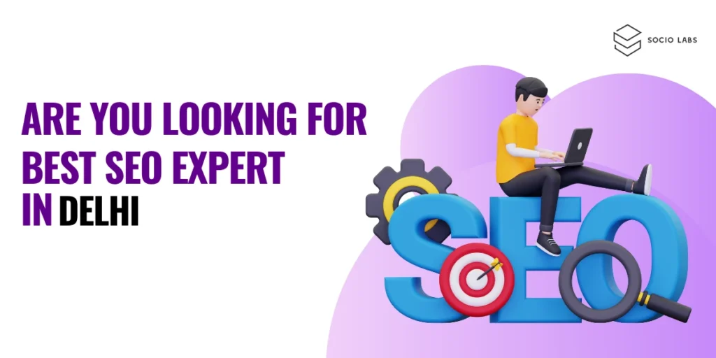 best-seo-expert-in-delhi-socio-labs