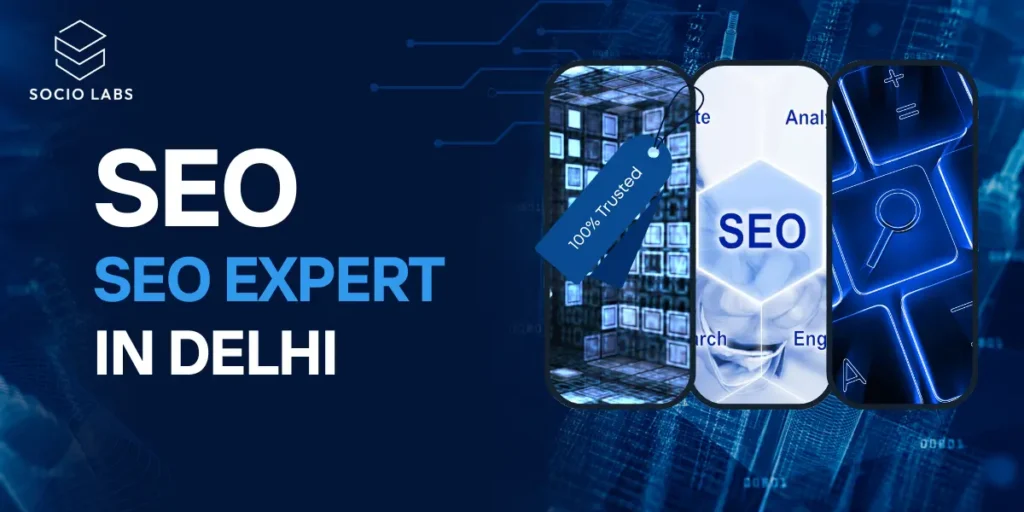 best-seo-expert-in-delhi-socio-labs